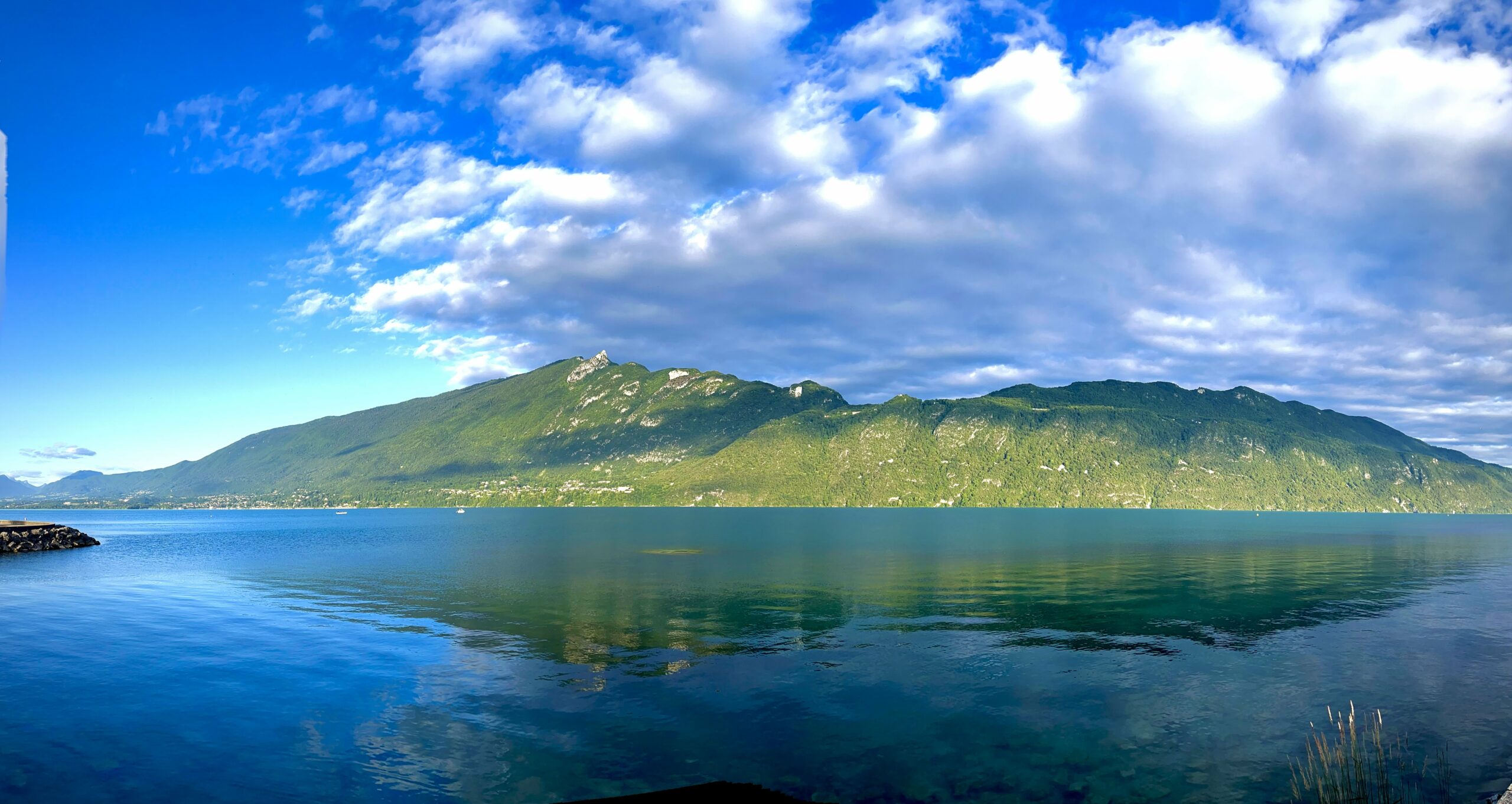 Un matin au bord du lac